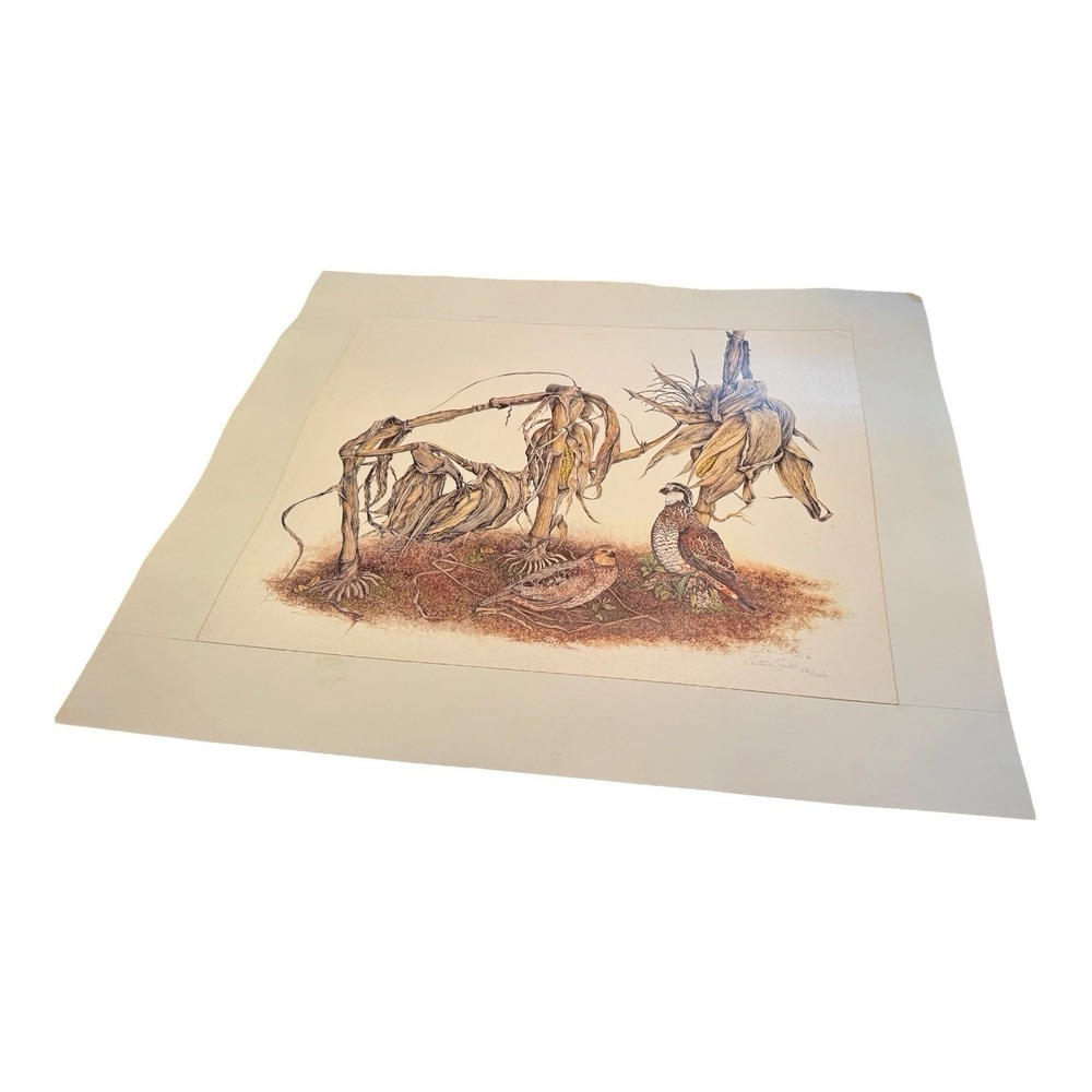 Christina Smith 1978 Signed Numbered Quail Wildlife Print 531/1000 Vintage READ